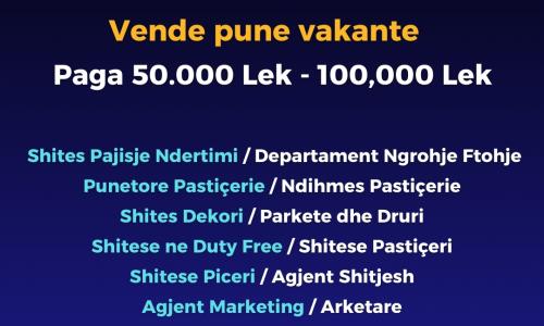 Njoftimet e Punës: Pasqyra e tregut shqiptar